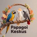 Papagoi Keskus logo - kolm kaunist papagoid